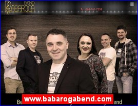 Muzi�ari, bendovi, folk, pop, rok, www.babarogabend.com