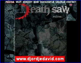 Muzi�ari, bendovi, folk, pop, rok, www.djordjedavid.com