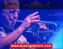 Muzi�ari, bendovi, folk, pop, rok, www.duskogojkovic.com