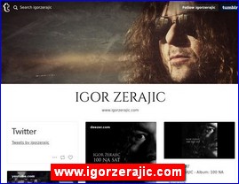 Muzi�ari, bendovi, folk, pop, rok, www.igorzerajic.com