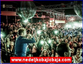 Muzi�ari, bendovi, folk, pop, rok, www.nedeljkobajicbaja.com