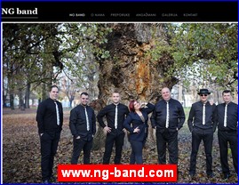 Muzi�ari, bendovi, folk, pop, rok, www.ng-band.com