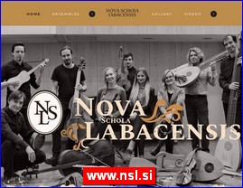 Muzi�ari, bendovi, folk, pop, rok, www.nsl.si