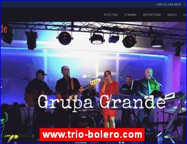 Muzi�ari, bendovi, folk, pop, rok, www.trio-bolero.com
